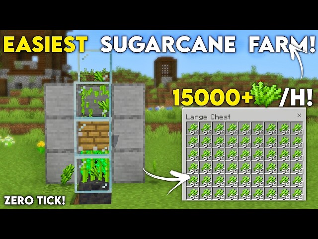 EASY 26.33 SUGARCANE FARM in Minecraft Bedrock! (15000+/H!)