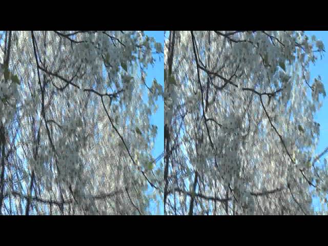 3D Spring Outdoor