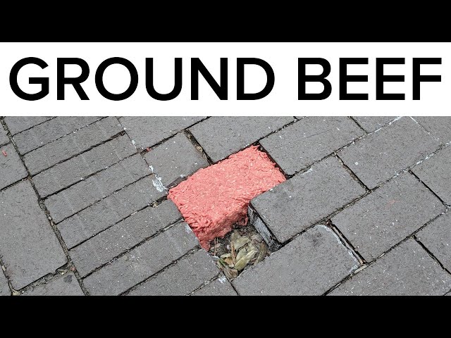 Random Memes