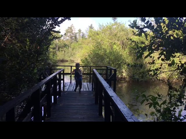 “Living” Belize 2019