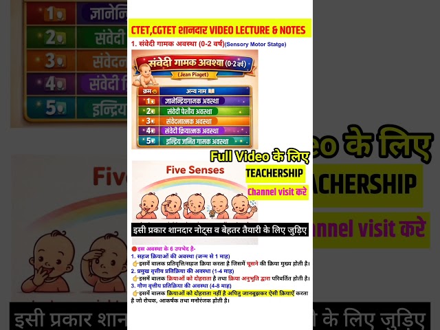 जीन पियाजे का संज्ञानात्मक विकास सिद्धांत | CTET–CGTET शॉर्ट वीडियो #cgtet #ctet