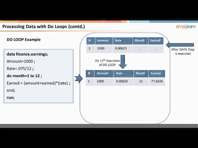 Big Data and Analytics : SAS Base Programmer Video Tutorials