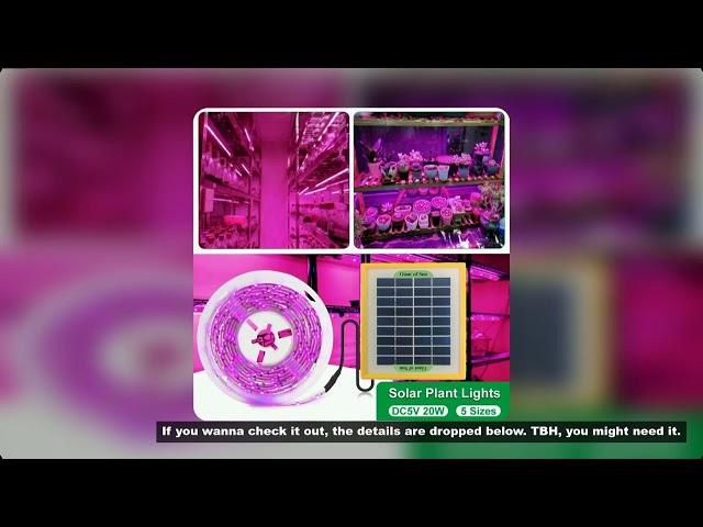 Solar Panel LED Grow Light Full Spectrum 5V Grow Light Strip 3m 2835 LED Phyto Lamps For Plants Gree