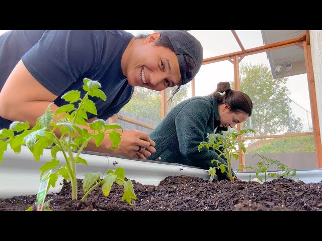 Started Our Own Garden... (We Have No Idea What We're Doing)