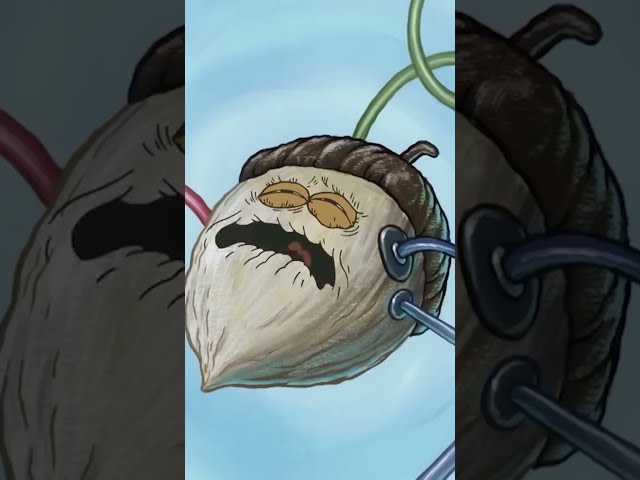 Sandy's Nutmare ๐ฐ #SpongeBob