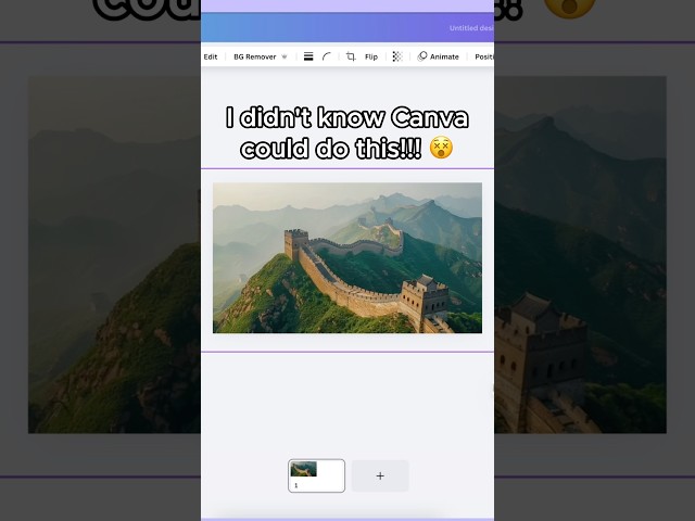 How to make a zoom animation in Canva 😫 #canva #canvapresentation #presentation #study