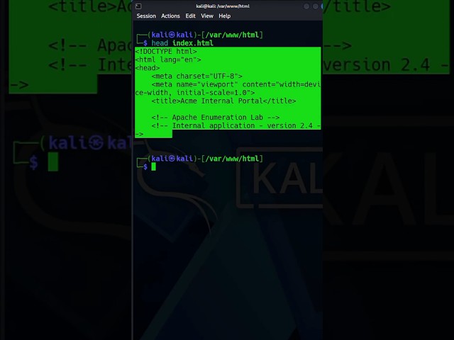 2 Linux Commands Every Beginner Should Know | head & tail