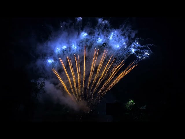 2024 DISPLAY CAKE NO.8