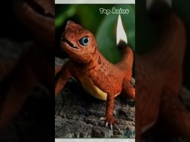 Charmander Pokemon in Real Life! #shorts