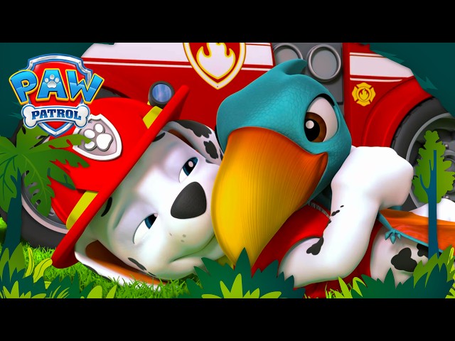 Marshall Saves a Baby Pterodactyl! 😍 | PAW Patrol Dino Rescues 🦖