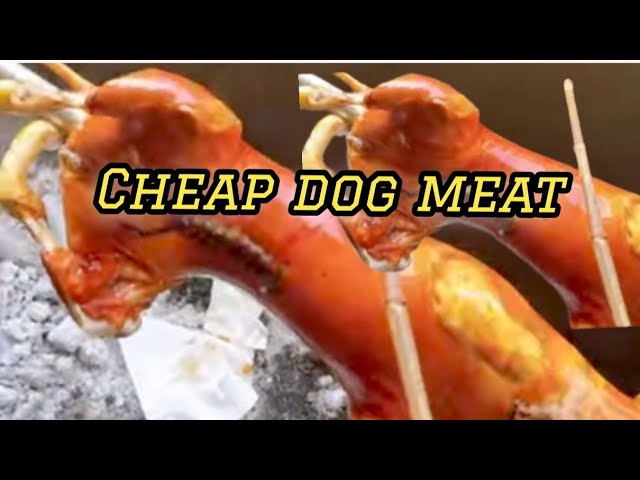 Trying Dog Meat in Vietnam: Shocking?