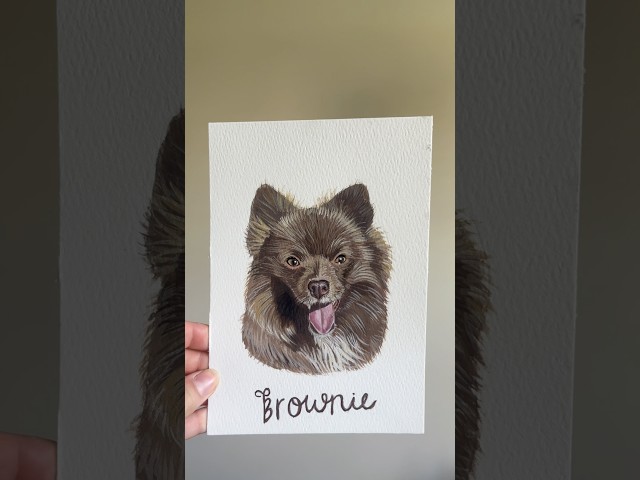 I want to paint your pet 🎨