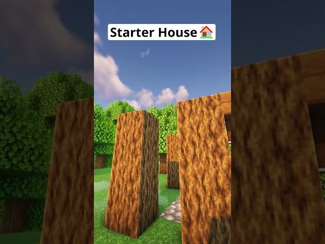 Minecraft Easy House Tutorial🏠 #shorts