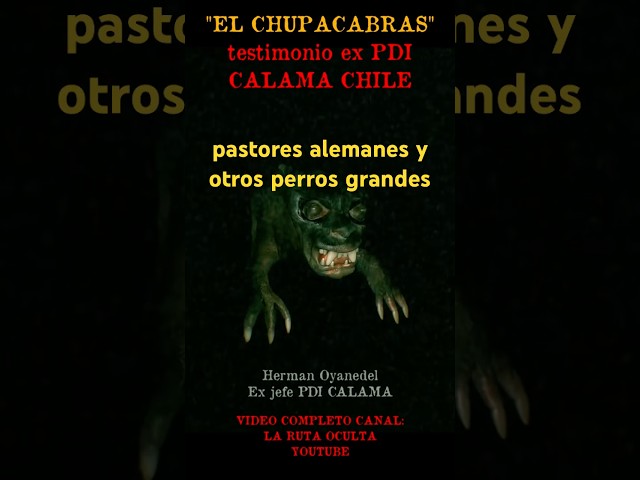The Chupacabra in Calama #calama #chupacabras