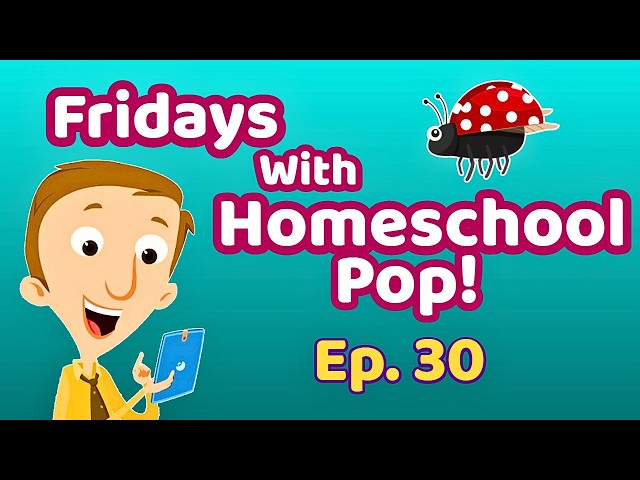 Did You Know Ladybugs Have Hidden Wings?