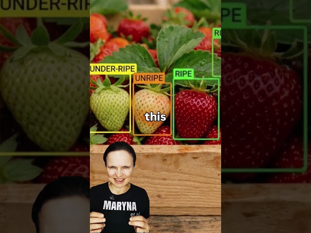 AI for strawberry ripeness