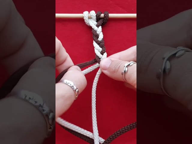 Every Step Shown — the Macrame Braid Anyone Can Follow