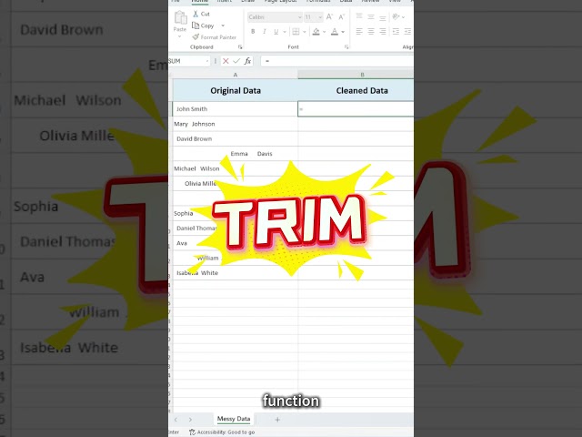 Remove Extra Spaces in Excel in Seconds ✨ with TRIM