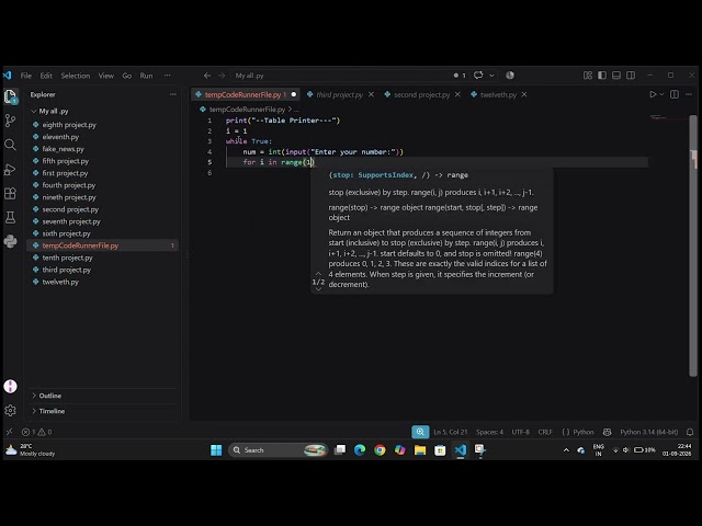 python project