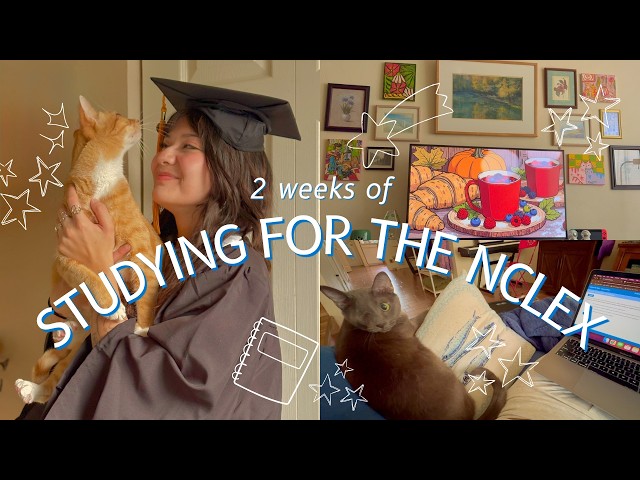 almost a nurse (2 weeks to study for the NCLEX)