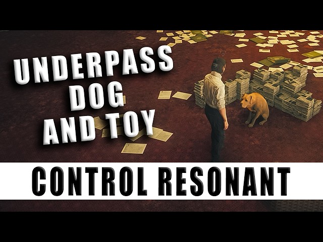 Underpass Dog Control Resonant - Underpass Dog and Toy location