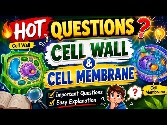 Cell Wall and Cell Membrane Important Questions | Class 9 Science | NCERT