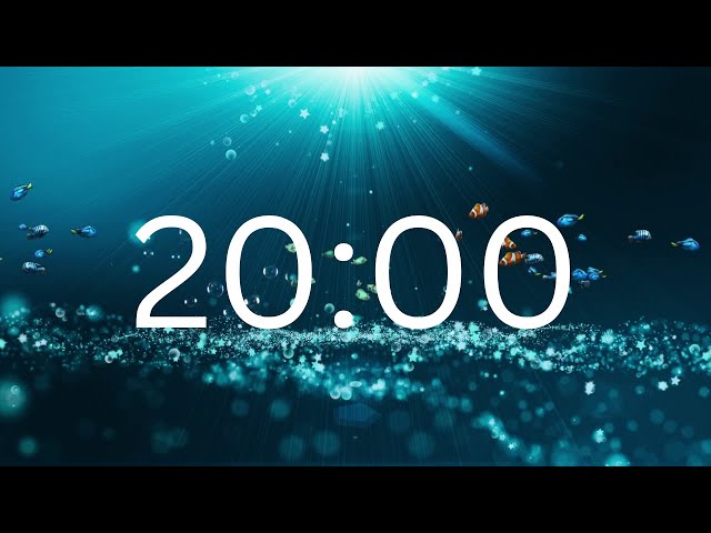 20 Minutes Timer With Relaxing Music