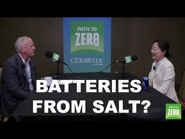 Path to Zero: The Future of Batteries Might Be Built on Salt with Battery Scientist Shirley Meng