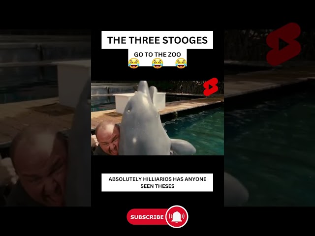 the three stooges go to the zoo 😂#funnyscene #shorts