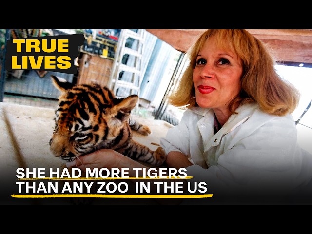 The Tiger Lady Who Secretly Owned 24 Tigers Until an Escape Exposed Her | True Lives
