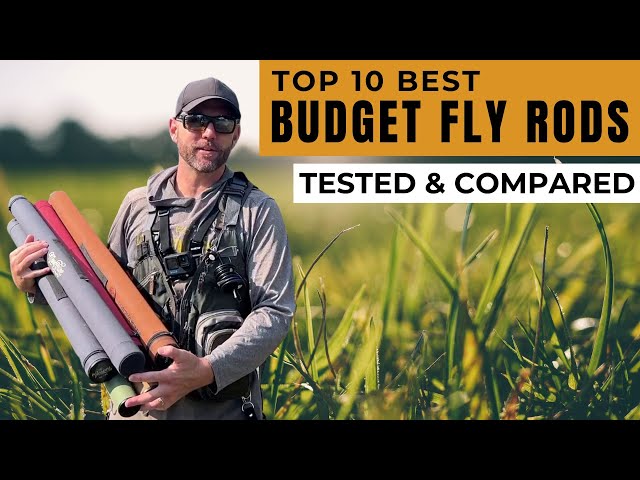 Best Budget Fly Rods (Reviewed & Compared)