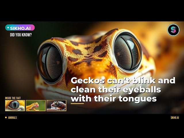 Did You Know Geckos Can't Blink? | Nature's Windshield Wipers Explained | Sikho.ai