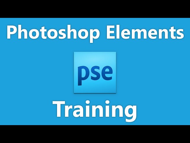 How to Use Grid, Single Photo, & Full Screen Views in the Organizer in Adobe Photoshop Elements 2023