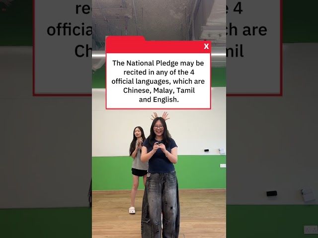 We, the SITizens of Singapore…