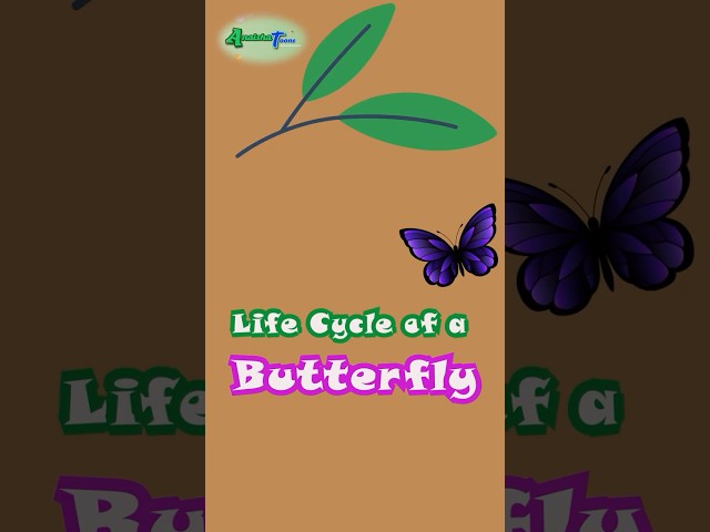 Butterfly Life Cycle in 15 Seconds 🐛➡️🦋 | Egg to Butterfly Explained!