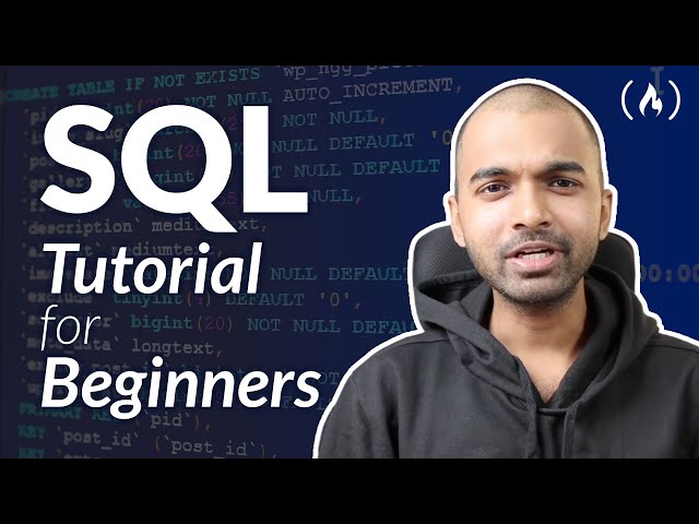 SQL Tutorial for Beginners (and Technical Interview Questions Solved)