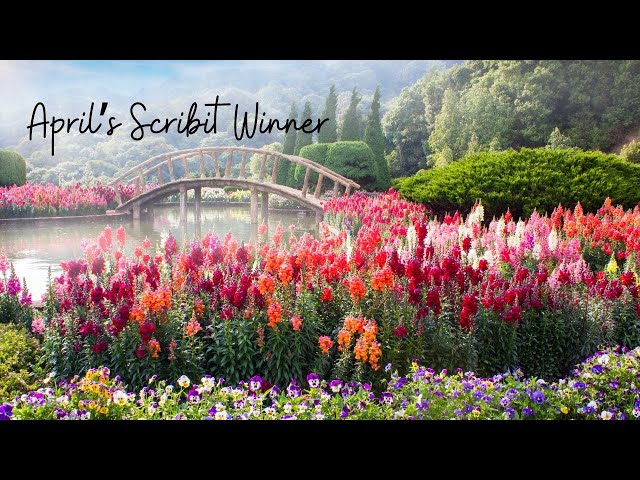 April's 2024 Scribit Winner