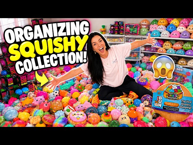 I Organized My HUGE Squishy Collection! Rare NeeDoh, Jumbo Dumplings, Squishy Collection #squishy
