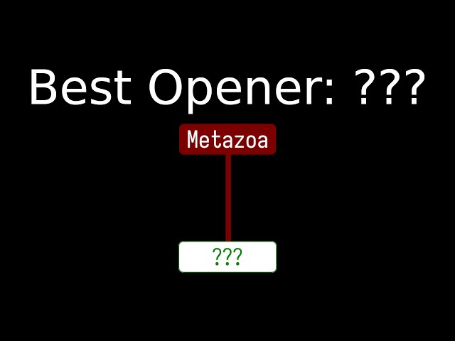 Solving Metazooa Using Information Theory