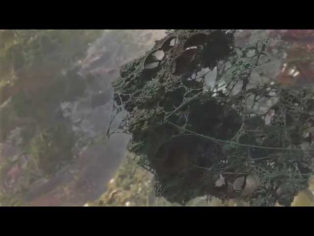 Mandelbox zoom