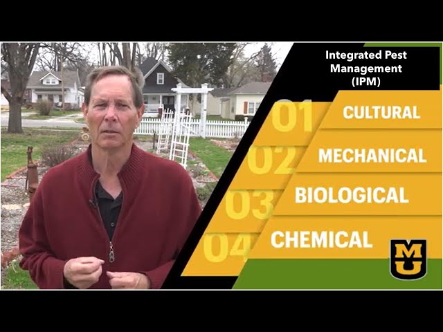 5 IPM (integrated pest management) strategies to keep your garden pest free!