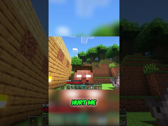 Herobrine PUNCHED me in the face in Minecraft
