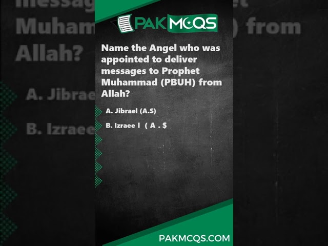 Name the Angel who was appointed to deliver messages to Prophet Muhammad (PBUH) from Allah?