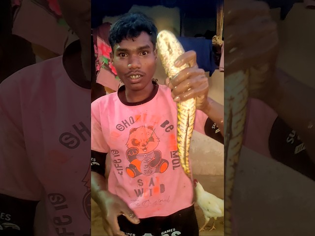 fish #fish #fishing #short #shortvideo #trending #viral