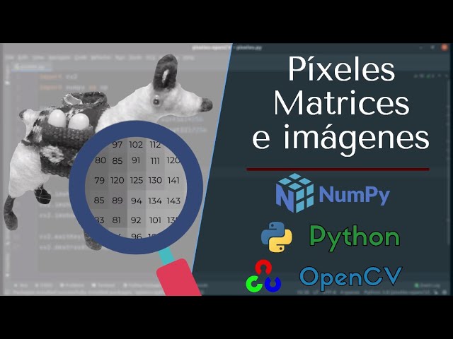 Crear una imagen con numpy y openCV | python