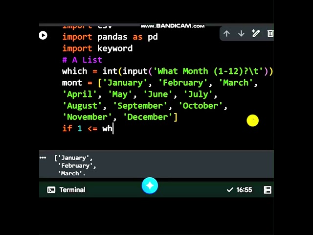 Python If Statement #coding #python