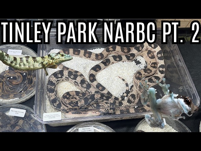 Tinley Park NARBC Walkthrough Part 2!!