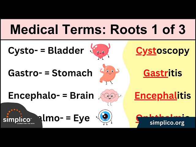 Medical Terminology MADE EASY: Root Words [Nursing, Students, Coding]