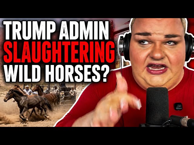 WILD HORSES? Dumocrats have lost the plot 