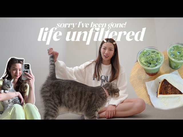 life unfiltered | Lucky's surgery, my favorite matcha recipe and everything from Jan-March!
